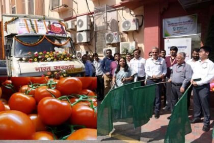 बाजार में आसमान छू रहे टमाटर के दाम, केंद्र ने 65 रुपये प्रति किलो के भाव पर बेचना शुरू किया टमाटर 