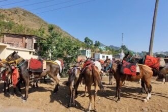 पहलगाम टेरर अटैक : इस हमले से जिंदगी थम गई, अब क्या करें ? टट्टू चलाने वालों ने बयां किया दर्द