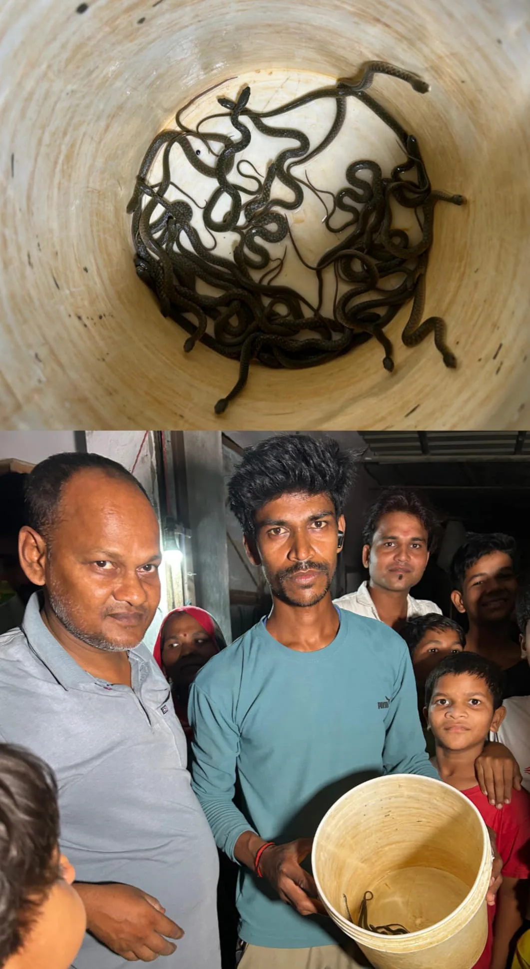  एसडीएम कालोनी एक घर के बाहर बैठे मिले 30 सांपों के बच्चे,,परिजन में मचा हड़कंप बाहर खेल रहे थे मासूम बच्चे,,,