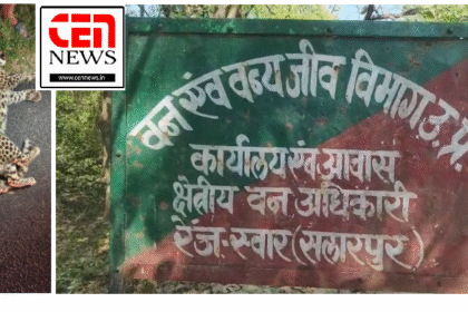 ब्रेकिंग न्यूज़ रामपुर रामपुर/ स्वार मानपुर उत्तरी गांव के पास हाइवे पर अज्ञात वाहन की टक्कर से तेंदुए की मौत वन विभाग में मचा हड़कंप।