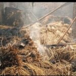 कल्याण शहराच्या काही अंतरावर असलेल्या वसार गावातील गुरांच्या गोठ्याने अचानक लागलेल्या आगीने शेतकऱ्याचे लाखोंचे नुकसान झाले असून आगीच्या धुरात म्हशीचा बछडा मृत्यूमुखी झाला आहे तर ही आग सुमारे रात्री १ ते २ च्या दरम्यान बाळकृष वाटले यांच्या गोठ्याला आग लागल्याने गोठा जळून खाक झाला झाला असून शेतकऱ्याचे जवळपास ३ , ४ लाखांचा मोठ्या प्रमाणात नुकसान झालं आहे .