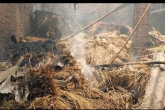 कल्याण शहराच्या काही अंतरावर असलेल्या वसार गावातील गुरांच्या गोठ्याने अचानक लागलेल्या आगीने शेतकऱ्याचे लाखोंचे नुकसान झाले असून आगीच्या धुरात म्हशीचा बछडा मृत्यूमुखी झाला आहे तर ही आग सुमारे रात्री १ ते २ च्या दरम्यान बाळकृष वाटले यांच्या गोठ्याला आग लागल्याने गोठा जळून खाक झाला झाला असून शेतकऱ्याचे जवळपास ३ , ४ लाखांचा मोठ्या प्रमाणात नुकसान झालं आहे .