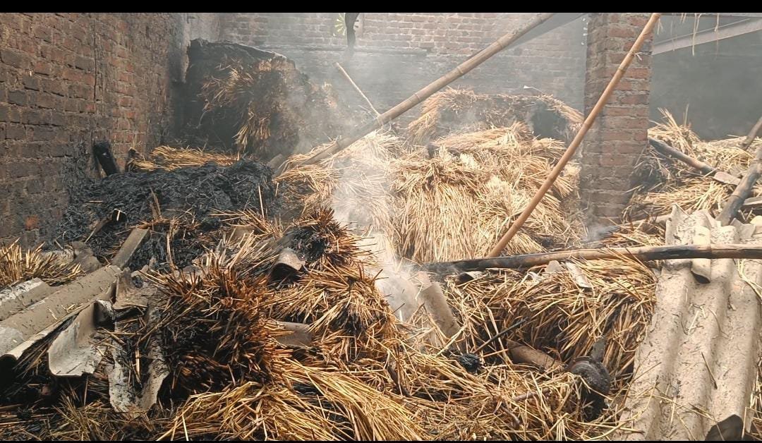 कल्याण शहराच्या काही अंतरावर असलेल्या वसार गावातील गुरांच्या गोठ्याने अचानक लागलेल्या आगीने शेतकऱ्याचे लाखोंचे नुकसान झाले असून आगीच्या धुरात म्हशीचा बछडा मृत्यूमुखी झाला आहे तर ही आग सुमारे रात्री १ ते २ च्या दरम्यान बाळकृष वाटले यांच्या गोठ्याला आग लागल्याने गोठा जळून खाक झाला झाला असून शेतकऱ्याचे जवळपास ३ , ४ लाखांचा मोठ्या प्रमाणात नुकसान झालं आहे .
