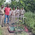रामपुर में वन्यजीव तस्करी के खिलाफ बड़ी कार्रवाई करते हुए मुरादाबाद की उड़नदस्ता टीम ने दो तस्करों को गिरफ्तार किया है।