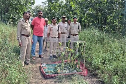 रामपुर में वन्यजीव तस्करी के खिलाफ बड़ी कार्रवाई करते हुए मुरादाबाद की उड़नदस्ता टीम ने दो तस्करों को गिरफ्तार किया है।