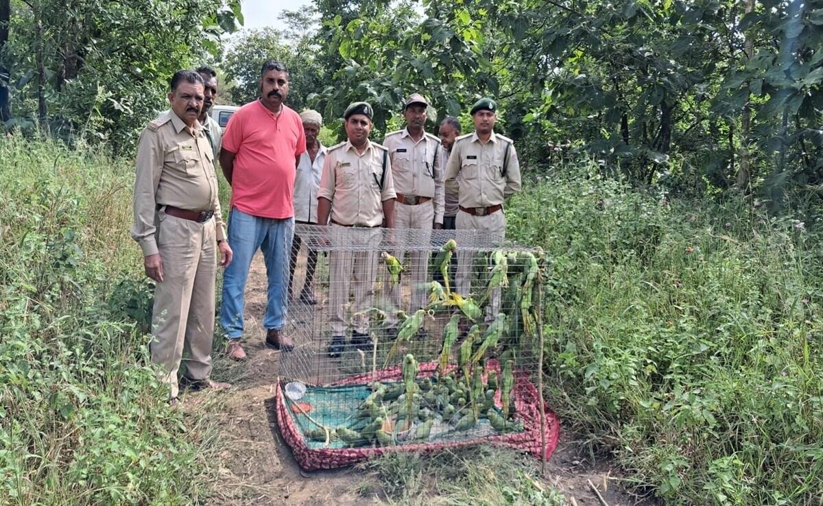रामपुर में वन्यजीव तस्करी के खिलाफ बड़ी कार्रवाई करते हुए मुरादाबाद की उड़नदस्ता टीम ने दो तस्करों को गिरफ्तार किया है।