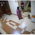 सोसायटी में बिल्ली को प्लास्टिक की थैली में भरकर फेंकने का मामला, CCTV में कैद