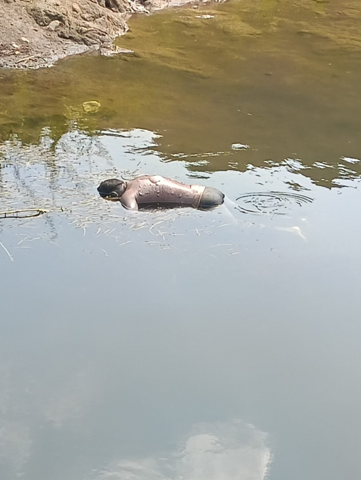 दिघा के खांडी धरण (मोगली डैम) में फिर एक व्यक्ति की डूबने से मौत, सुरक्षा उपायों पर उठे सवाल