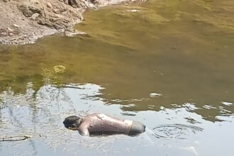 दिघा के खांडी धरण (मोगली डैम) में फिर एक व्यक्ति की डूबने से मौत, सुरक्षा उपायों पर उठे सवाल