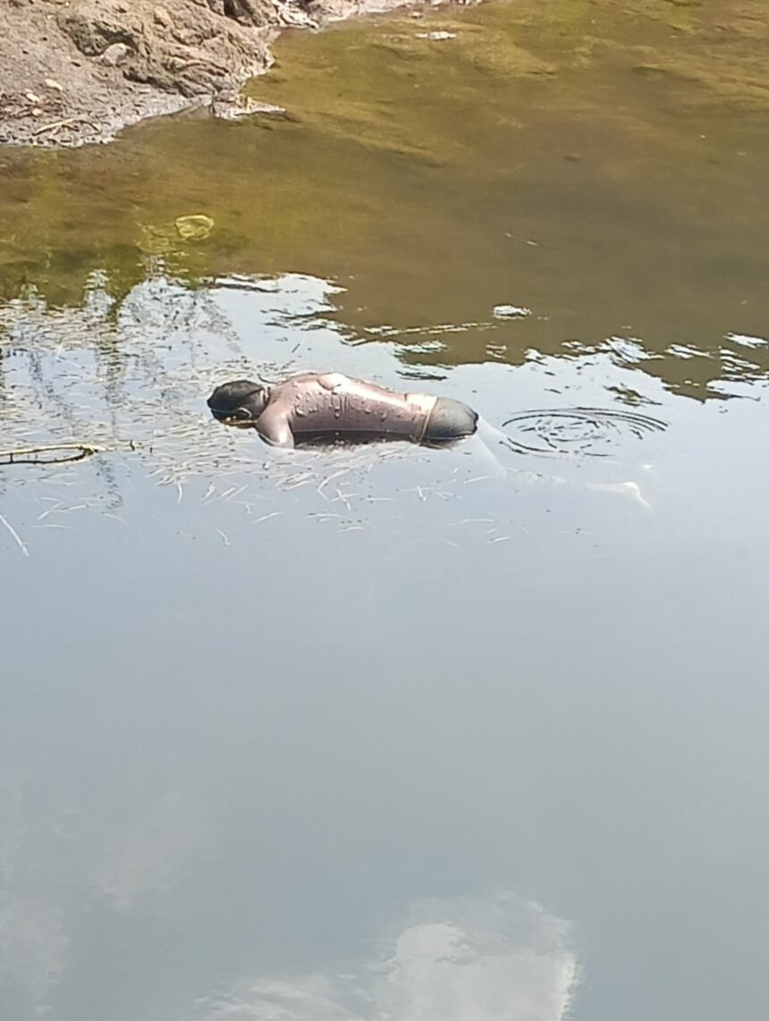 दिघा के खांडी धरण (मोगली डैम) में फिर एक व्यक्ति की डूबने से मौत, सुरक्षा उपायों पर उठे सवाल