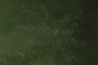 ऑपरेशन लंगड़ा का दिखा असर।