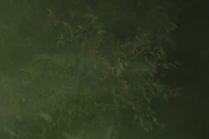 ऑपरेशन लंगड़ा का दिखा असर।