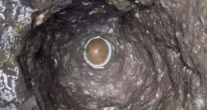 नासिक के त्र्यंबकेश्वर मंदिर परिसर स्थित ऐतिहासिक अमृतकुंड में कई सालों बाद शिवलिंग के दर्शन हुए.