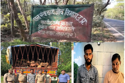 यूपी के रामपुर मे मुरादाबाद वन विभाग की उड़न दस्तते टीम ने रामपुर मे की छापैमारी