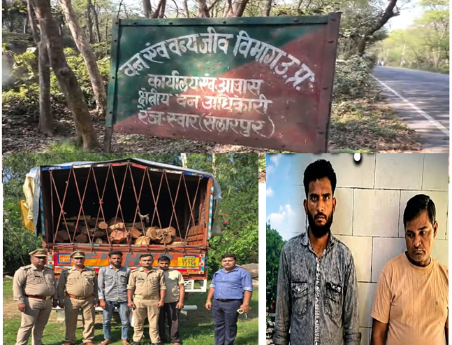 यूपी के रामपुर मे मुरादाबाद वन विभाग की उड़न दस्तते टीम ने रामपुर मे की छापैमारी