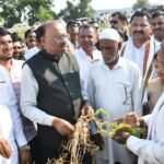 छत्रपती संभाजीनगर महसूल मंत्री चंद्रशेखर बावनकुळे यांनी दुष्काळी स्थितीच्या पार्श्वभूमीवर शेकटा मंडळात पिक परिस्थितीची पाहणी केली.