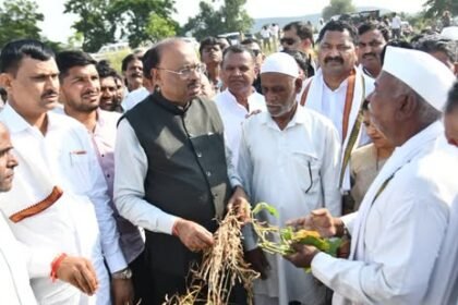छत्रपती संभाजीनगर महसूल मंत्री चंद्रशेखर बावनकुळे यांनी दुष्काळी स्थितीच्या पार्श्वभूमीवर शेकटा मंडळात पिक परिस्थितीची पाहणी केली.